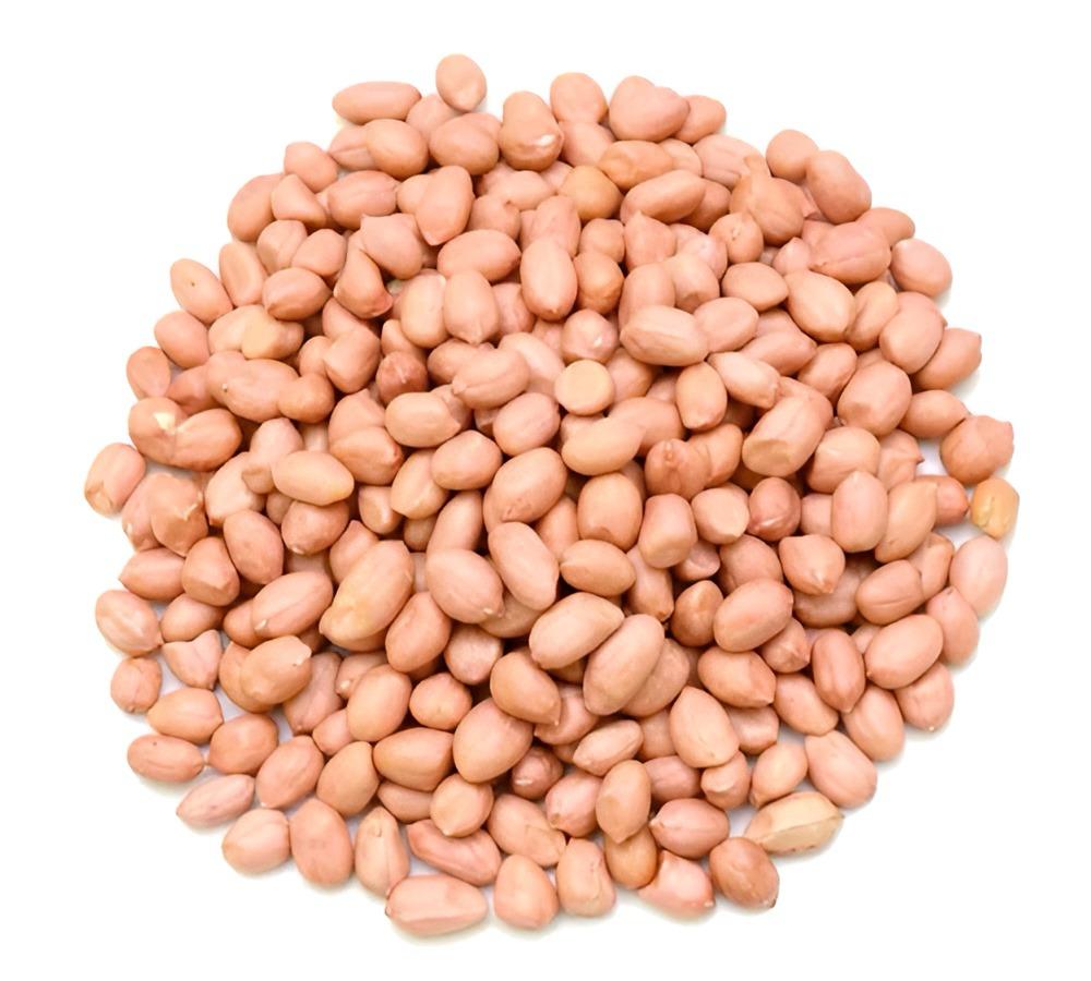 TJ Peanut